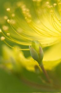 94a3511381b817b873f0821751f6580e