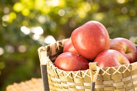 161eb83e8efe63aa62959a2839fdc519