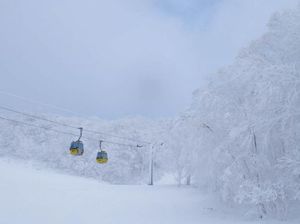 51554308c50449d6314df26a6ee238e2