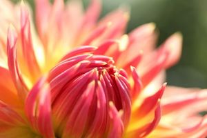 C6e76a6c1c5fa84a037663ed67513650