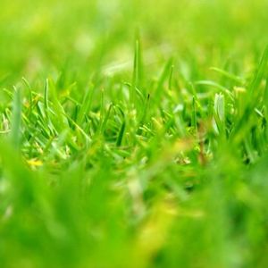 B6e0c4118aed0b0625579047ff0c0569