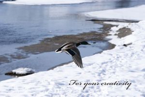 526d9642c07d4cb91ca2bff161847bd7