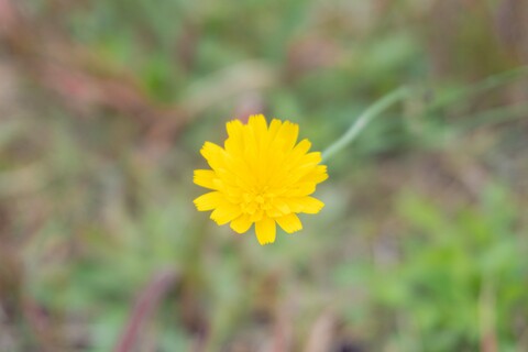 F4d723b5f349f5b0e656a9d8e9b73087