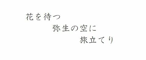 C97094ff1c819ca86b99cace27c71611