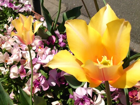 C44c11ce44e5dcbcfbd1be5cb0ea7c9e