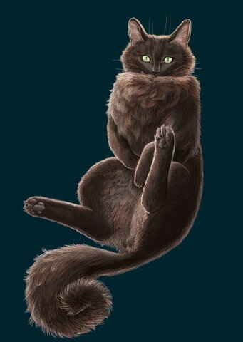 7296e10461b7f67671e5191da3dc196c