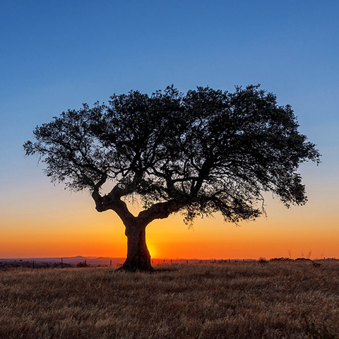 Fa64aca0a914f99a13d3d89253b8b752