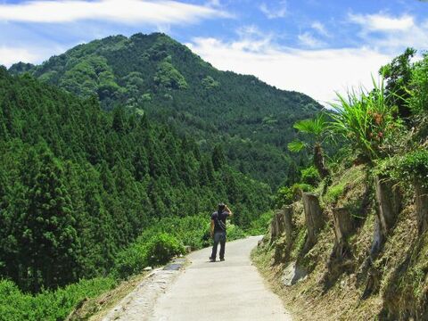 D7f2b524b0baee8c705e2d131f8862eb