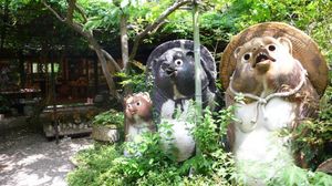 299a0b6a039ca50e2d0a8dfe2fa4c1b8