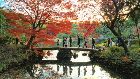 754018e76db6899a8caa92e915607f86