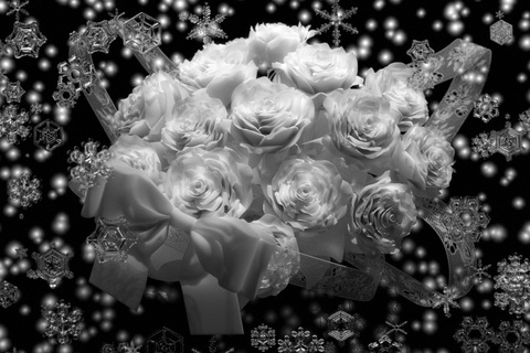 9b2fe04ed1e0a88688a037af92575467