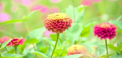 826f2f15ddd0fd58757082dce5ad1156