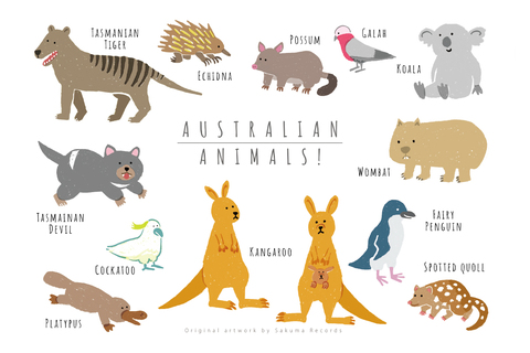 293f21e6d02de22252ae5739a1b66cd8