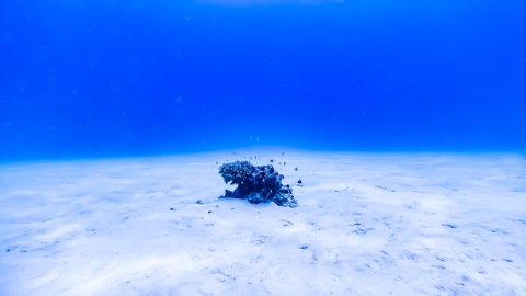 Bf71525d42606b7b319c907b110175d2