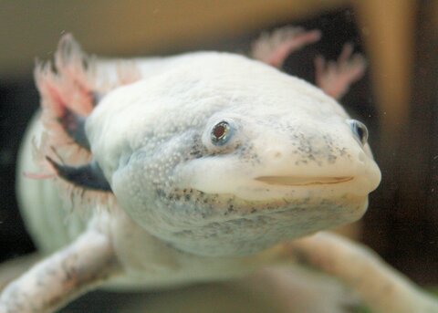 F1c356bac1f2416440e9a8c0b410146c