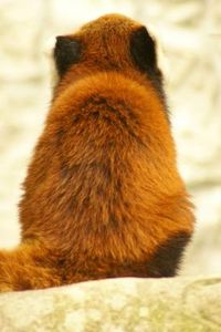 9d1d3c298b7be339d2ef51bbaf4d36b4