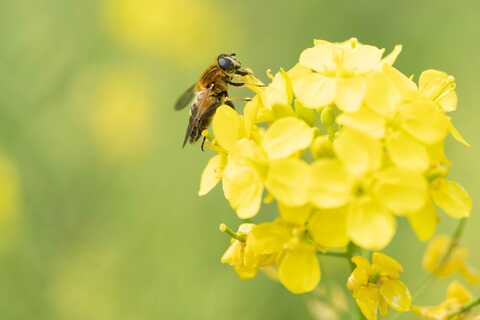 1d2668dec10507900f88e17bf84d0da3