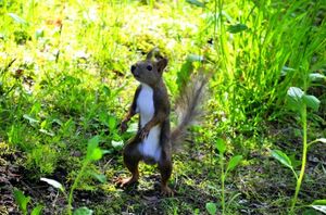 7db7f75b8105f0b8baf755536e7ba7af