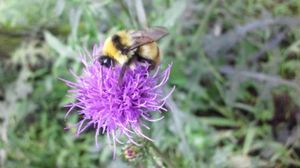 151978cb06351dbaa410afc8a2902132