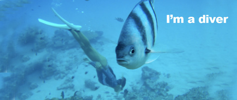 8db89c1a6bd70adf53b92a286fcb3ad5