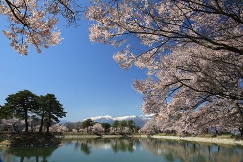 6568ecb42fc3b34e2ab3269d2a0b7b39