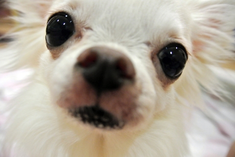 1bb41274d93411186305cc68e28a6816