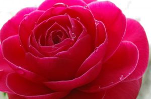 E99356d7020c92f046baa6a71a780867