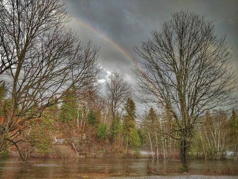 C3db2658e1b6c6c5dbbadc539fd01bcf