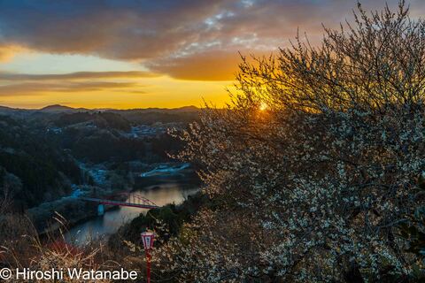 5a5d3eb34e038d638b752a0eb44a4cb7