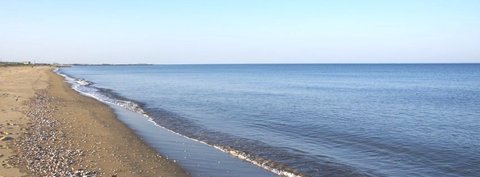 048f72143c5a77d9a05fda83b92c413c