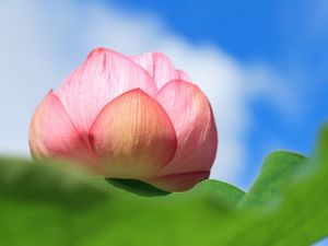 A42f20d2afdcea61a4d9902cae79d941