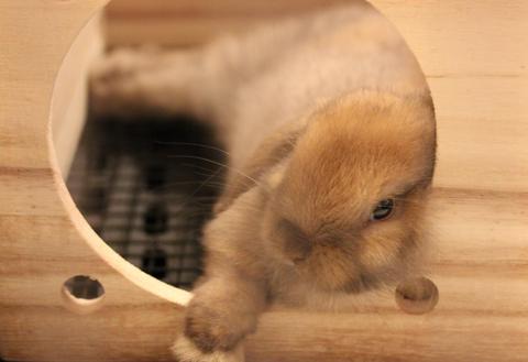 57d185ad0f81731a98c303777f5884ab