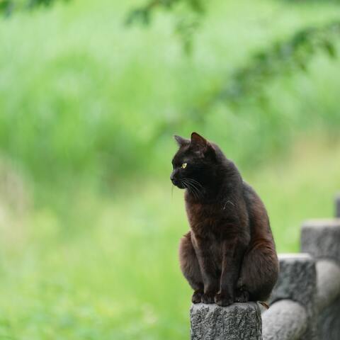 E24bbb235b221acae010f47645aa80e2