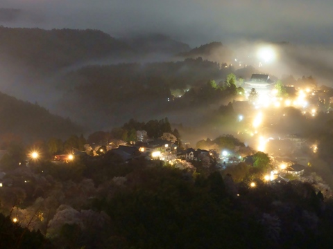 323d4cd71924907fefa82392b1542830