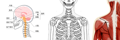 Cd85d5c748071a88a3b6c02e82ec6e51