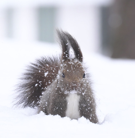 B28355567f99bb544905f9bac4d6c256