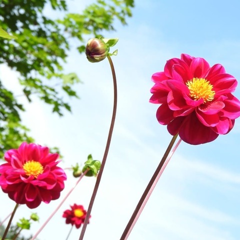 0fce070418e9ee9c9d86d1ae5691a377