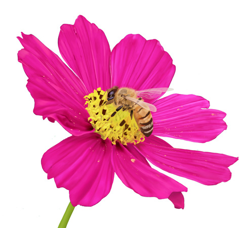 Cb12a51f4429716b00d506c5f0272bc4