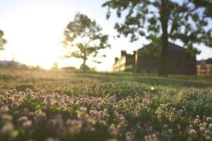 B99e8543cccc1c0f560536bbaf45f19e