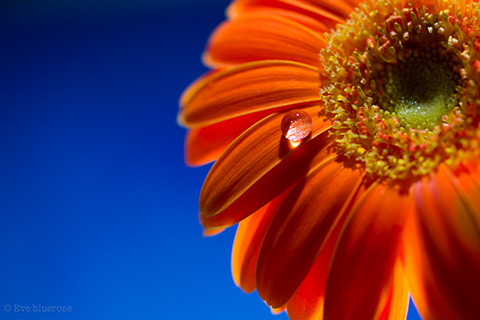 62239e775a126f5a33091b33fb867aa5