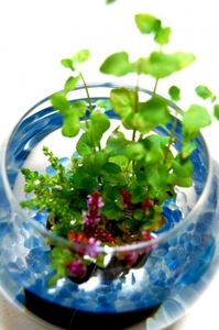 57630efec297d11ba970a0ecff7a213a