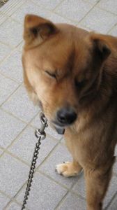 A798a45584cd70ffcc5fb0c6f6cb220c