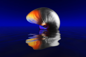 85f33842e83e5064ad2f1d25301ca356