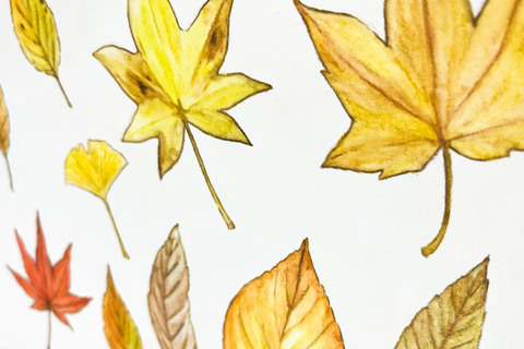 B33f66bd5d2b480ed3caecd4fc7d7833