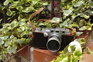 96d99731e36cc41e3538fb7a57a70b54