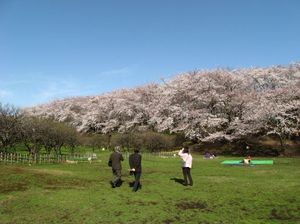 198a37e99abec83d3418d5aca11f5179