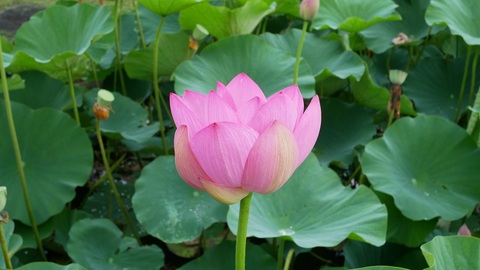 520371bc612b9f068129aad04870dd80