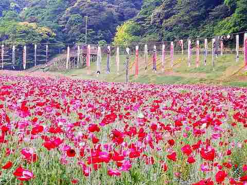 Bb1b725eba0c715f16ad630215d8ef0d