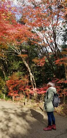 Fe1af604992cd643077198047ecd4f10