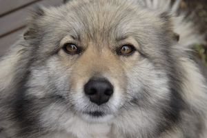 508acb5d269ecec0c1452b062e97b8c1